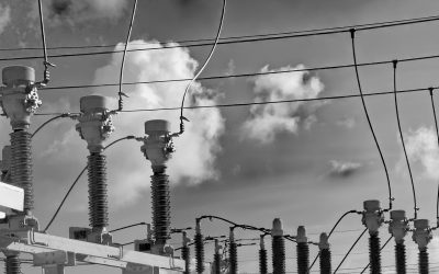 Strategies for Navigating Supply Chain Interruptions