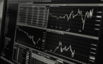 Thriving Through Change: Lessons from Market Shifts