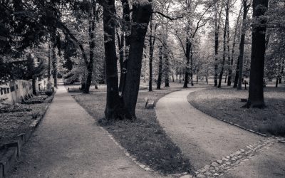 Not Every Opportunity Is Worth Taking